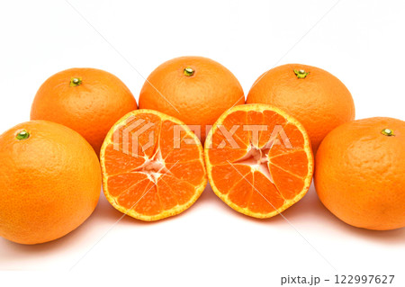 木熟きよみ 122997627