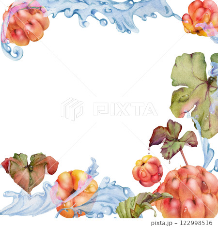 Cloudberry raspberry flying in wave water splashes with drops, hand drawn in watercolor, ripe red forest berry and leaves. Square frame illustration for restaurant, cafe menu, wedding, farmers market 122998516