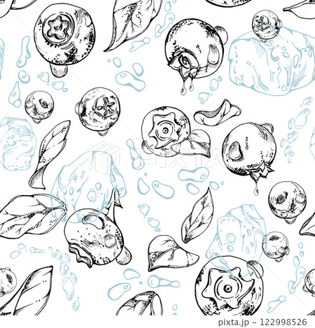 Blueberry blackberry flying in water splashes drops, hand drawn in ink vector, ripe sketch forest berry and leaves. Isolated seamless pattern illustration. Dessert cafe menu, farmers market, wedding Blueberry blackberry flying in water splashes drops, hand drawn in ink vector, ripe sketch forest berry and leaves. Isolated seamless pattern illustration. Dessert cafe menu, farmers market, wedding 122998526