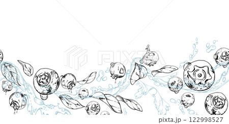 Blueberry blackberry flying in water splashes with drops, hand drawn in ink vector, ripe sketch forest berry and leaves. Seamless banner illustration for restaurant, cafe menu, wedding, farmers market 122998527