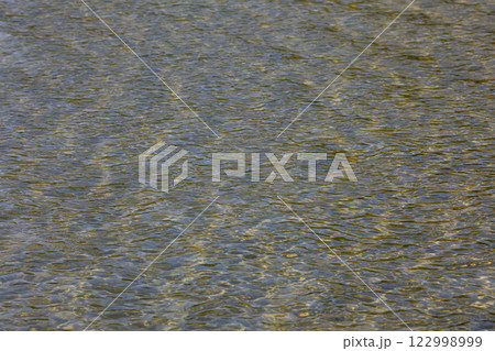 The Glittering Water Surface features Gentle Reflections in a serene and tranquil setting 122998999