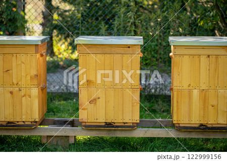 Beehives beautifully placed in a calming and tranquil garden setting on a bright sunny day Beehives beautifully placed in a calming and tranquil garden setting on a bright sunny day 122999156