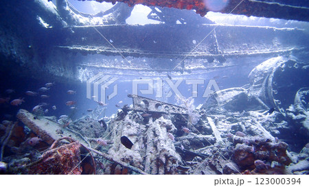 S.S. Thistlegorm 貨物船の沈船 レッドシー S.S. Thistlegorm 貨物船の沈船 レッドシー 123000394
