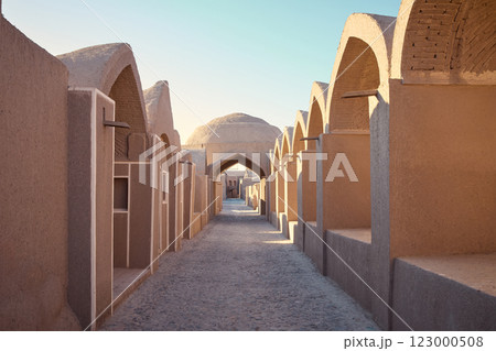 Bazaar in Bam Citadel (Arg-e Bam), Iran 123000508