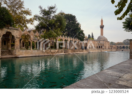 Fish lake and Rizvaniye mosque in Sanliurfa old town, Turkey Fish lake and Rizvaniye mosque in Sanliurfa old town, Turkey 123000524