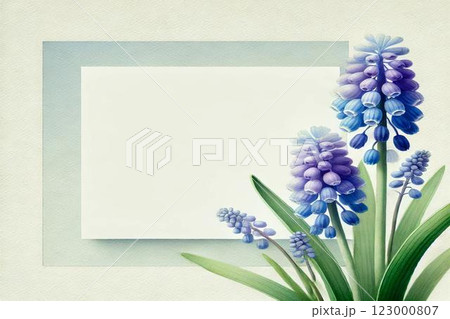 ムスカリの花 123000807