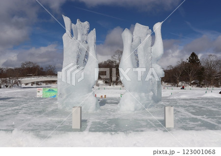 大沼函館 雪と氷の祭典 123001068