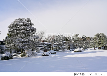 二条城(元離宮二条城)天守閣付近の積雪 二条城(元離宮二条城)天守閣付近の積雪 123001129