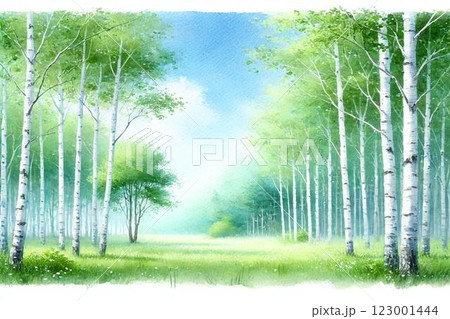 夏・白樺の林のイラスト素材 [123001444] - PIXTA