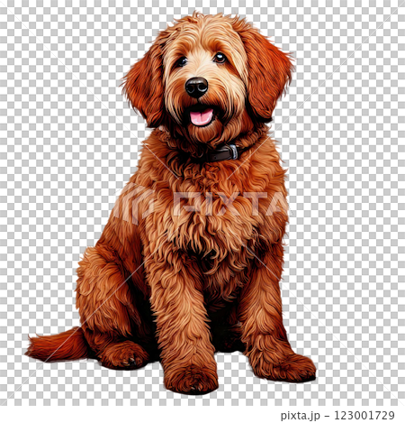 リアルイラスト:ゴールデンドゥードルレッド リアルイラスト:ゴールデンドゥードルレッド 123001729