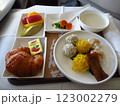 機内食で食べる中華料理のダンプリング 123002279