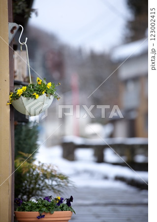 250105金山町0097 123002415