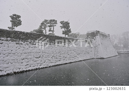 二条城(元離宮二条城)水堀と天守閣跡の降雪 二条城(元離宮二条城)水堀と天守閣跡の降雪 123002631
