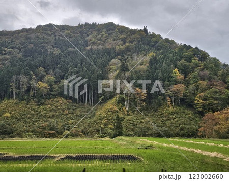 紅葉した山 紅葉した山 123002660
