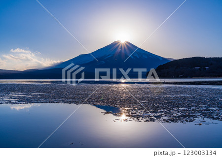 【山梨県】厳冬期の山中湖畔のダイヤモンド富士 【山梨県】厳冬期の山中湖畔のダイヤモンド富士 123003134