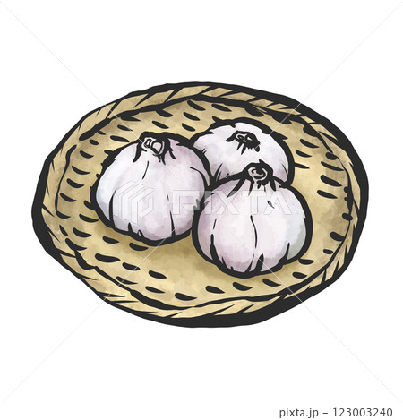 にんにくの手描き筆絵風イラスト 123003240
