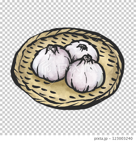 Garlic hand-drawn brush style illustration 123003240