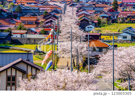 春の新庄宿俯瞰17 岡山県真庭郡新庄村 春の新庄宿俯瞰17 岡山県真庭郡新庄村 123003305