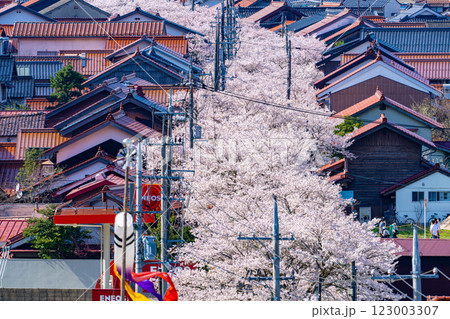 春の新庄宿俯瞰15 岡山県真庭郡新庄村 春の新庄宿俯瞰15 岡山県真庭郡新庄村 123003307
