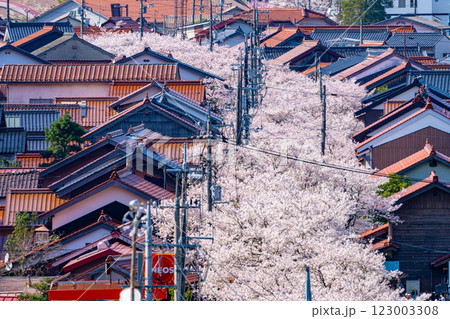 春の新庄宿俯瞰14 岡山県真庭郡新庄村 春の新庄宿俯瞰14 岡山県真庭郡新庄村 123003308