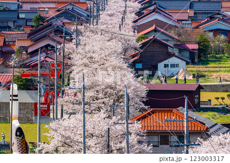春の新庄宿俯瞰7　岡山県真庭郡新庄村 123003317
