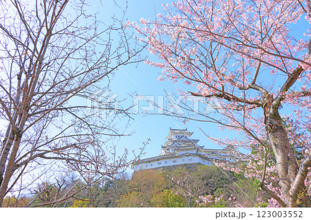 兵庫県姫路市、満開の桜と姫路城の風景 123003552