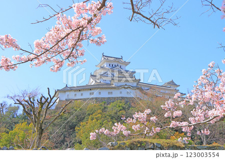 兵庫県姫路市、満開の桜と姫路城の風景 123003554