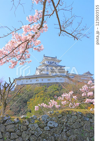 兵庫県姫路市、満開の桜と姫路城の風景 兵庫県姫路市、満開の桜と姫路城の風景 123003555