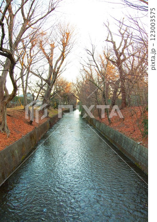 真冬の昭島市美堀橋から望む玉川上水 真冬の昭島市美堀橋から望む玉川上水 123003575