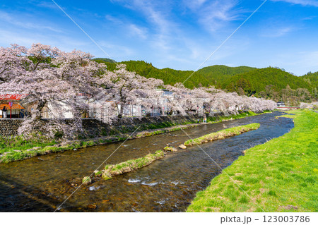 手まり街道・出雲街道旧美甘宿 　春の風景8　岡山県真庭市 123003786