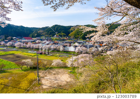 手まり街道・出雲街道旧美甘宿 　春の風景16　岡山県真庭市 123003789