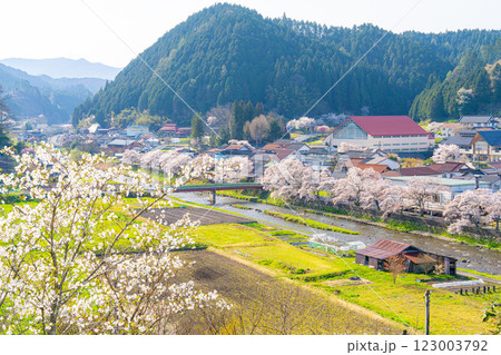 手まり街道・出雲街道旧美甘宿 　春の風景13　岡山県真庭市 123003792