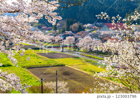 手まり街道・出雲街道旧美甘宿 　春の風景9　岡山県真庭市 123003796