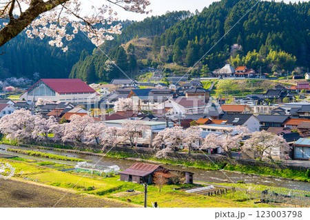 手まり街道・出雲街道旧美甘宿 　春の風景7　岡山県真庭市 123003798