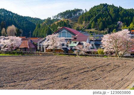手まり街道・出雲街道旧美甘宿 春の風景6 岡山県真庭市 手まり街道・出雲街道旧美甘宿 春の風景6 岡山県真庭市 123003800