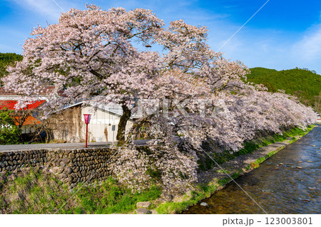 手まり街道・出雲街道旧美甘宿 春の風景5 岡山県真庭市 手まり街道・出雲街道旧美甘宿 春の風景5 岡山県真庭市 123003801