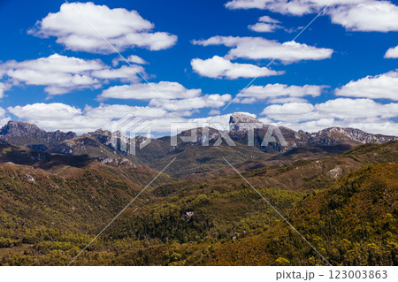 Donaghys Hill in Tasmania Australia 123003863