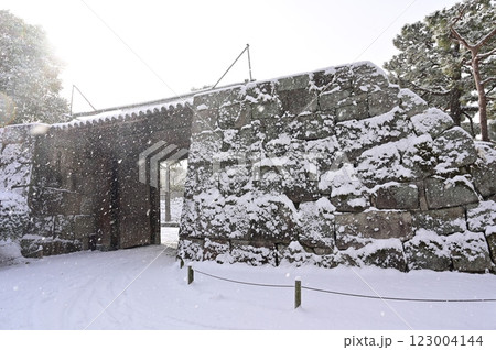 二条城（元離宮二条城）北中仕切門と降雪 123004144