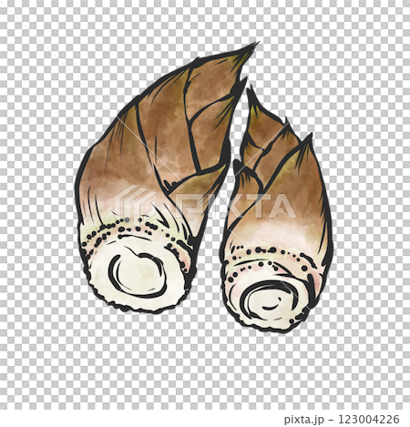 竹筍的手繪插圖 123004226