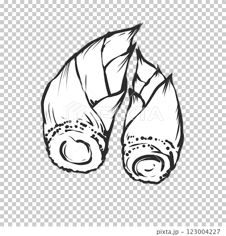 Hand-drawn illustration of bamboo shoots Hand-drawn illustration of bamboo shoots 123004227