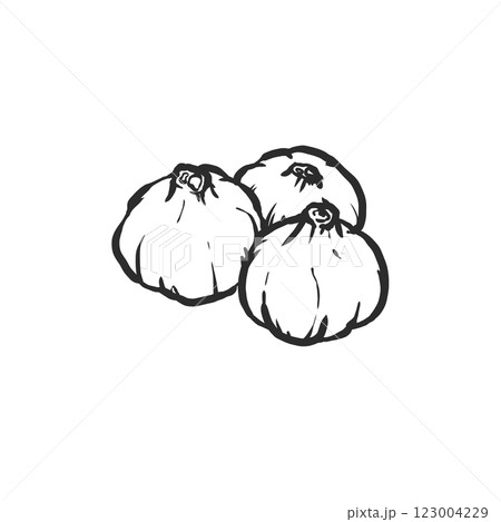 にんにくの手描き筆絵風イラスト 123004229