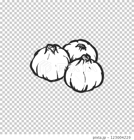 大蒜手繪筆刷風格插畫 123004229