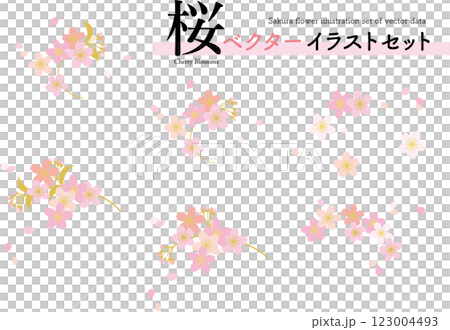 簡單的櫻花向量插圖集向量白色背景 123004493