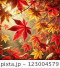 真っ赤な紅葉 123004579
