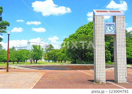 岐阜県各務原市、各務原市民公園の風景 123004791