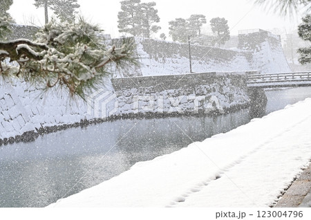 二条城(元離宮二条城)水堀の雪景色 二条城(元離宮二条城)水堀の雪景色 123004796