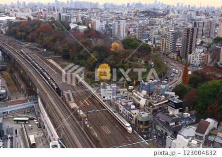 JR東日本に直通する東武鉄道100系「スペーシア」5 123004832