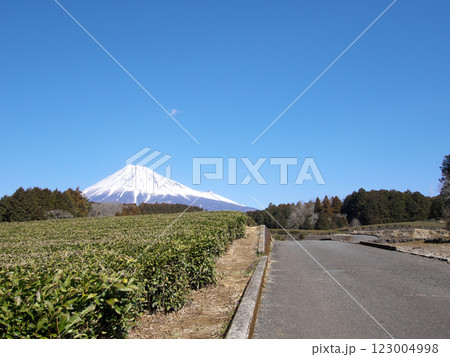 静岡の茶畑から見る冠雪した富士山 123004998