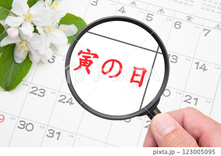 寅の日をクローズアップ（カレンダー背景） 123005095