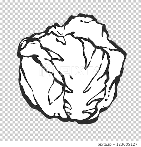 春白菜手繪筆刷風格插畫 123005127